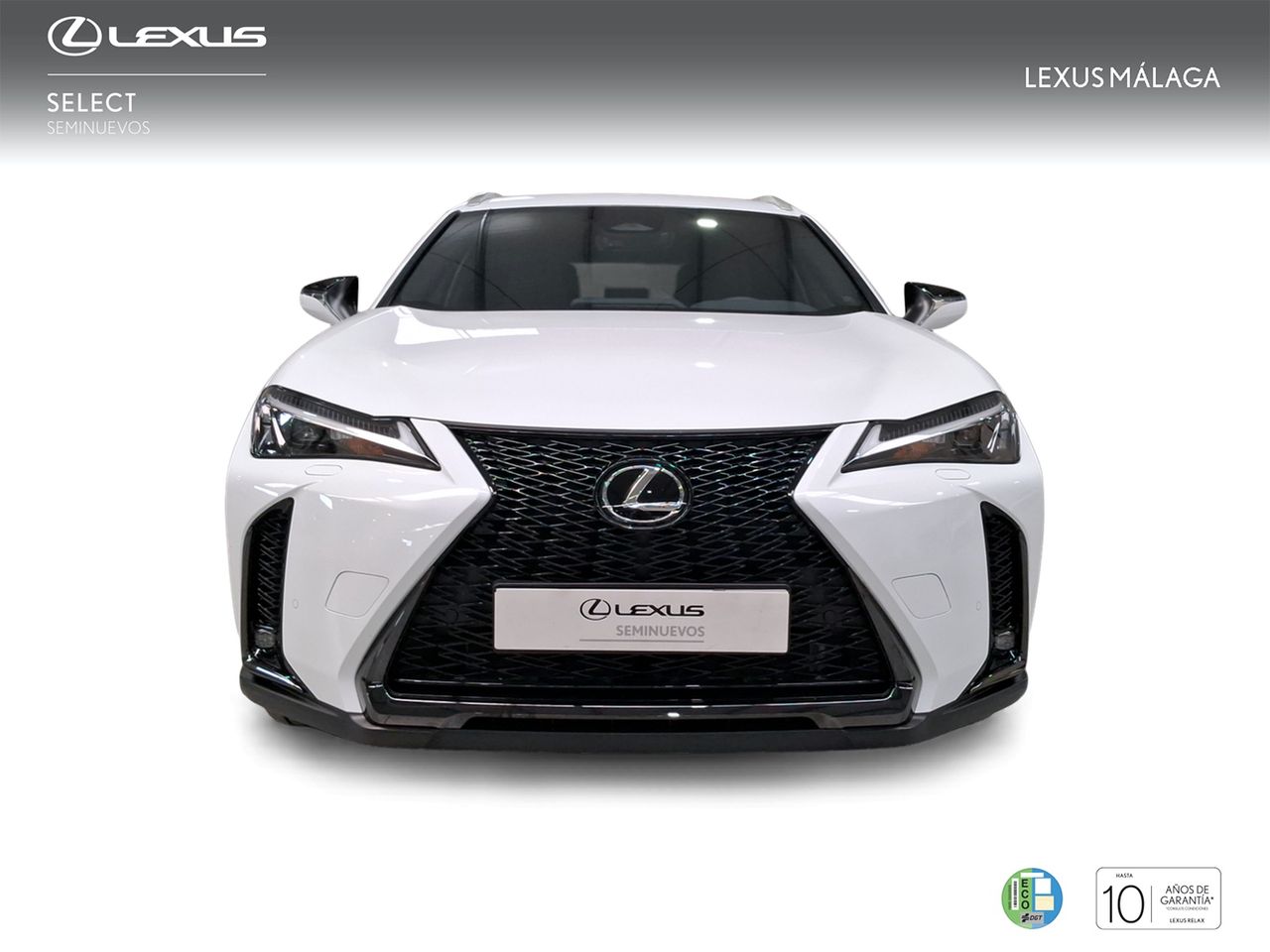 Lexus UX 300h F Sport Legend  - Foto 6