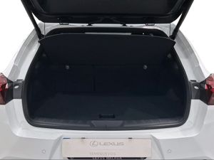 Lexus UX 300h F Sport Legend  - Foto 10