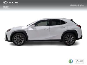 Lexus UX 300h F Sport Legend  - Foto 4