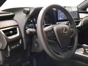 Lexus UX 300h F Sport Legend  - Foto 16