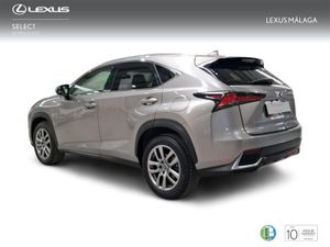 Lexus NX 2.5 300h Executive Navigation 4WD  - Foto 3