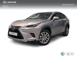 Lexus NX 2.5 300h Executive Navigation 4WD  - Foto 2