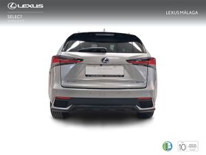 Lexus NX 2.5 300h Executive Navigation 4WD  - Foto 5