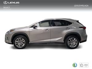Lexus NX 2.5 300h Executive Navigation 4WD  - Foto 4