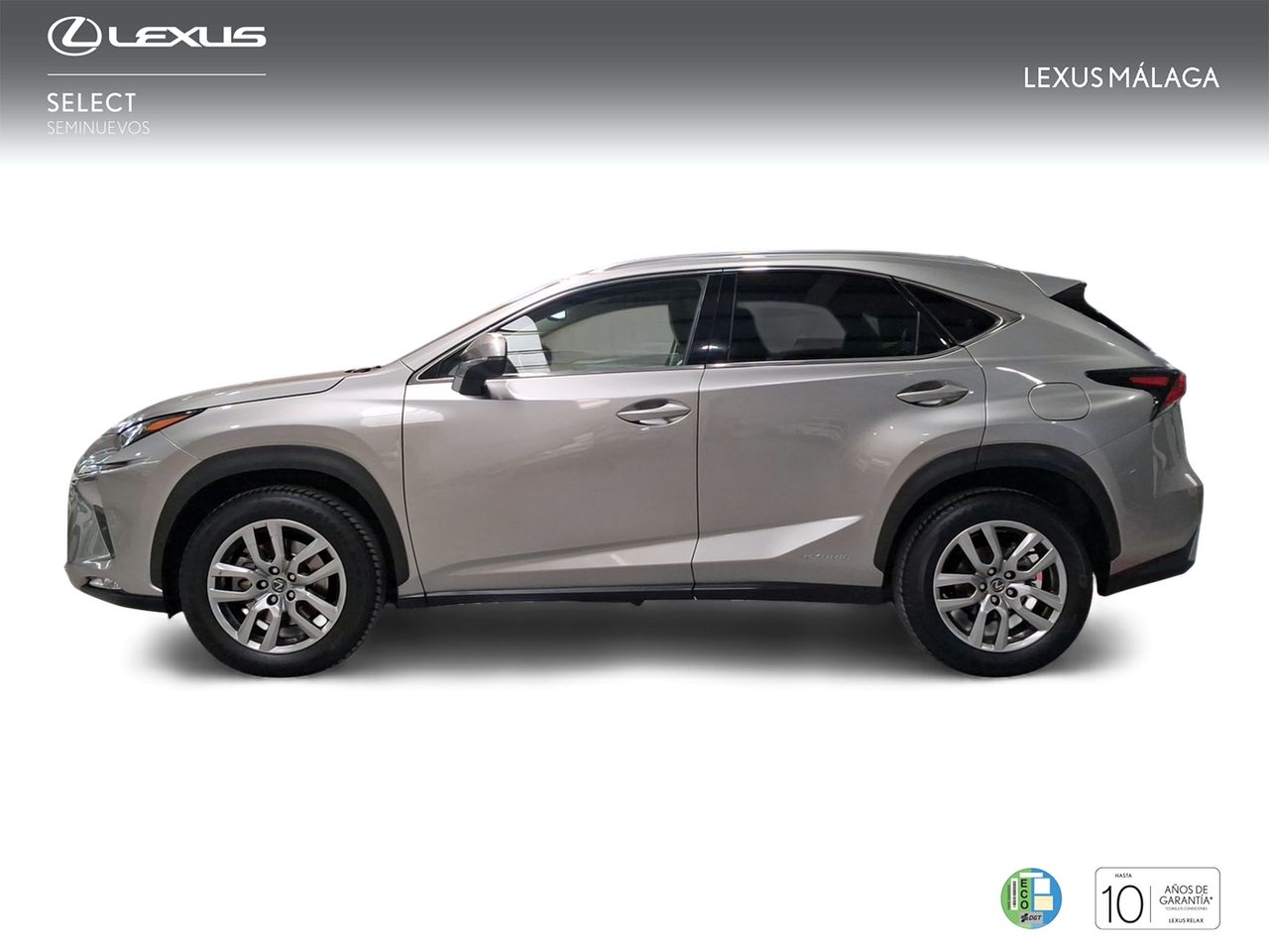 Lexus NX 2.5 300h Executive Navigation 4WD  - Foto 4
