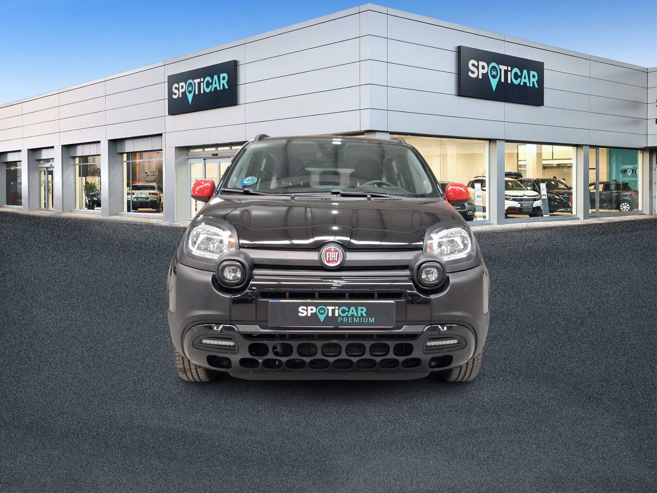 Fiat Panda Cross 1.0 Gse 51kw (70CV) Red  - Foto 3