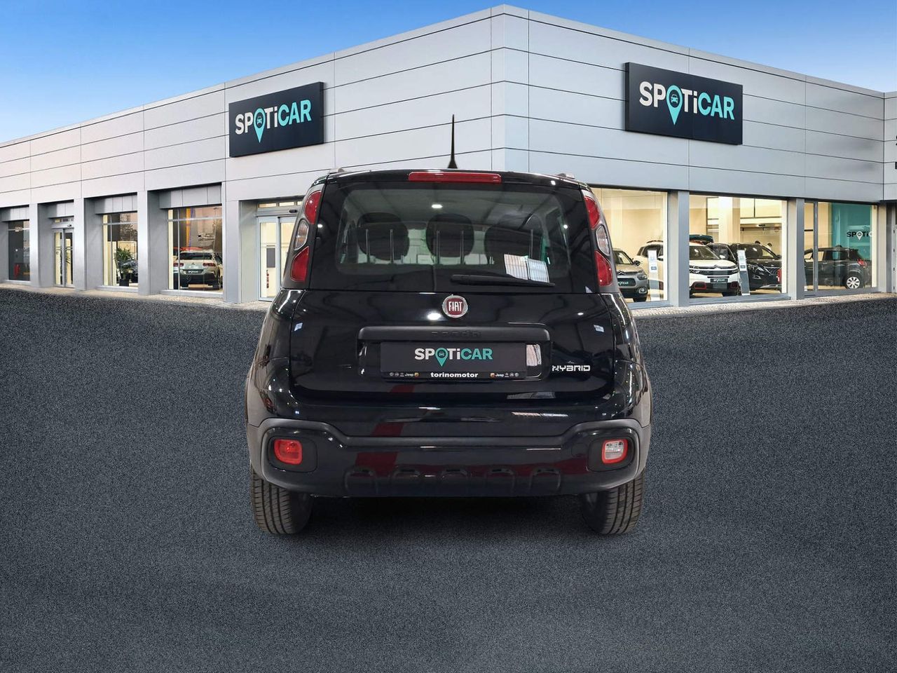 Fiat Panda Cross 1.0 Gse 51kw (70CV) Red  - Foto 6