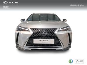 Lexus UX 2.0 250h Premium  - Foto 6