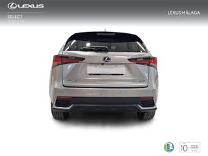 Lexus NX 2.5 300h Premium 2WD  - Foto 5