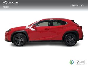 Lexus UX 2.0 250h Business  - Foto 4