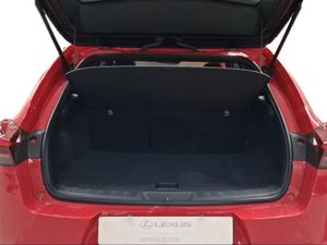 Lexus UX 2.0 250h Business  - Foto 10