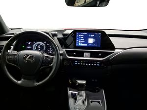 Lexus UX 2.0 250h Business  - Foto 9