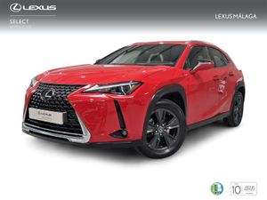 Lexus UX 2.0 250h Business  - Foto 2