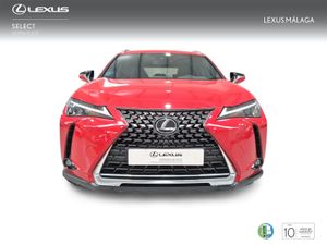 Lexus UX 2.0 250h Business  - Foto 6