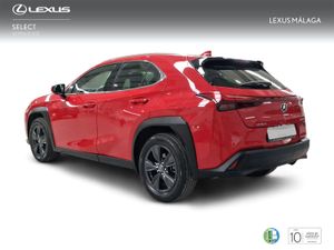 Lexus UX 2.0 250h Business  - Foto 3