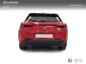 Lexus UX 2.0 300h UX Plus  - Foto 5