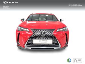 Lexus UX 2.0 300h UX Plus  - Foto 6