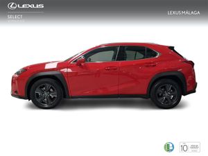 Lexus UX 2.0 300h UX Plus  - Foto 4