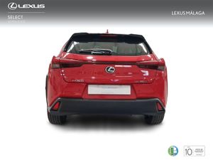 Lexus UX 2.0 300h UX Plus  - Foto 5