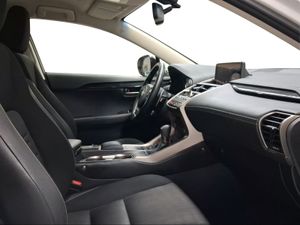 Lexus NX 2.5 300h Business Navigation 2WD  - Foto 7