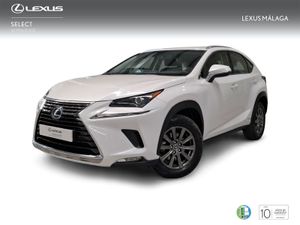 Lexus NX 2.5 300h Business Navigation 2WD  - Foto 2