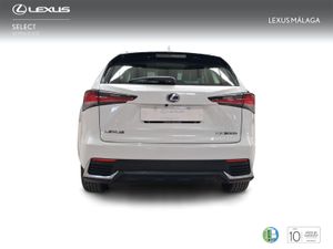 Lexus NX 2.5 300h Business Navigation 2WD  - Foto 5