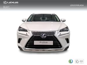 Lexus NX 2.5 300h Business Navigation 2WD  - Foto 6
