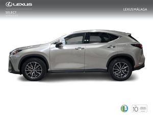Lexus NX 350h Executive 2WD  - Foto 4