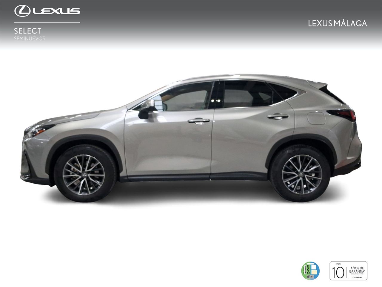 Lexus NX 350h Executive 2WD  - Foto 4