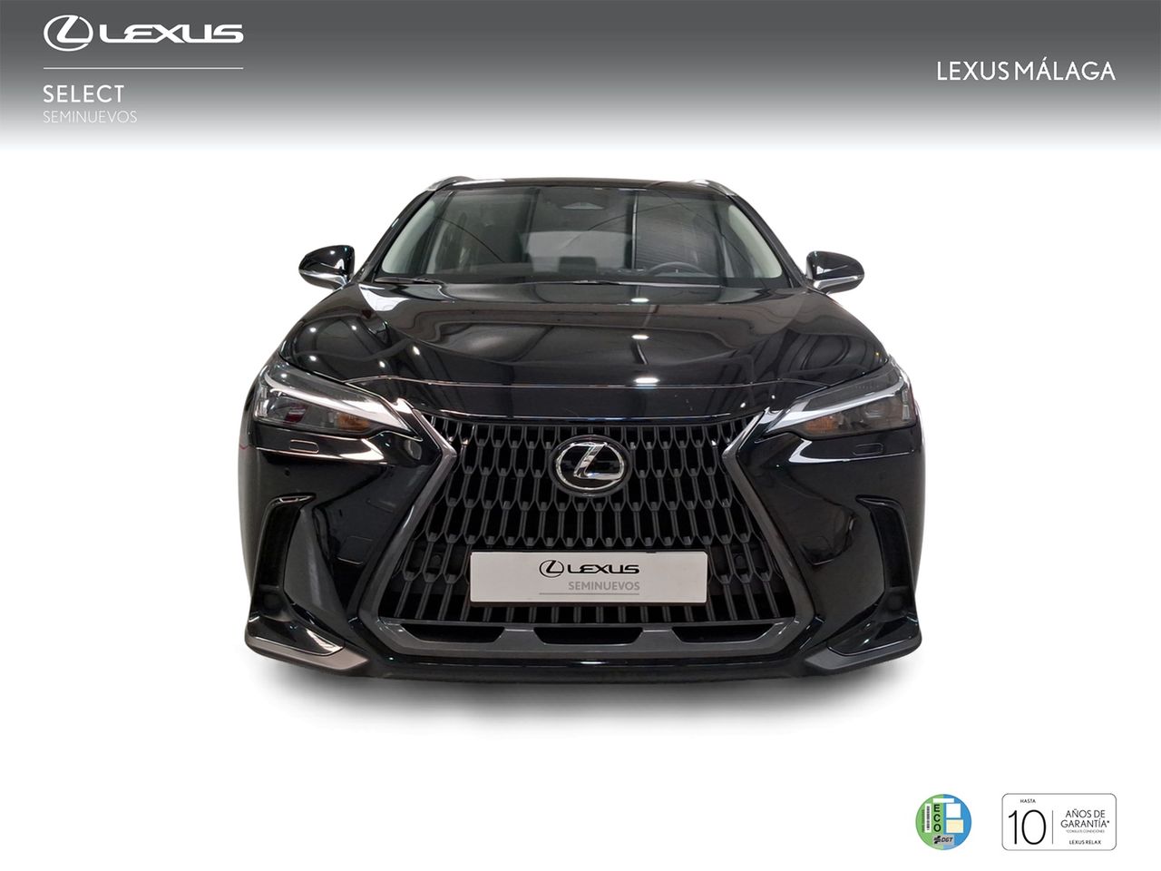 Lexus NX 350h Business City 2WD  - Foto 6