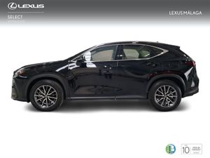 Lexus NX 350h Business City 2WD  - Foto 4