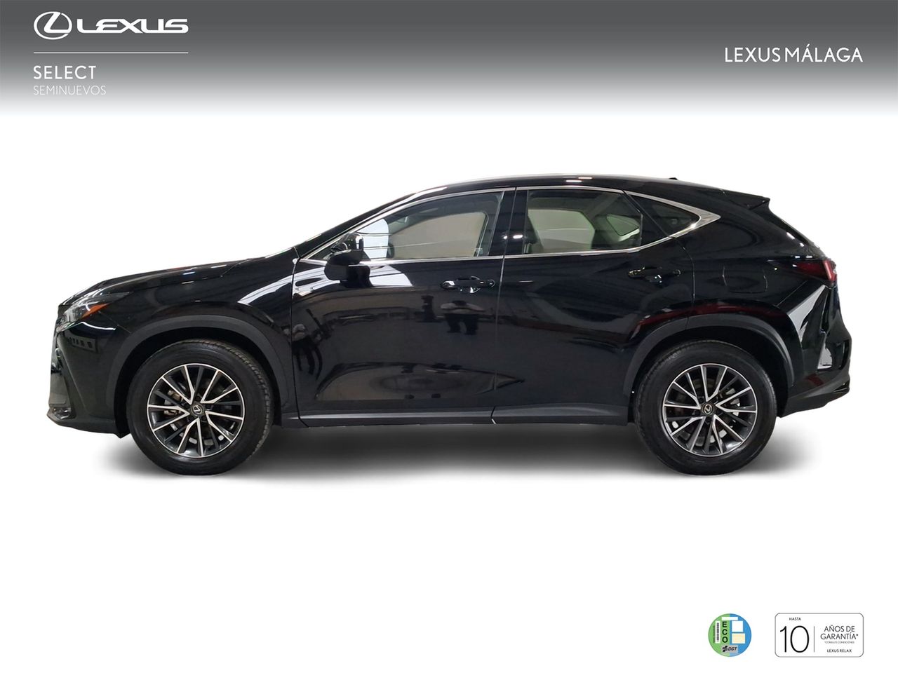 Lexus NX 350h Business City 2WD  - Foto 4