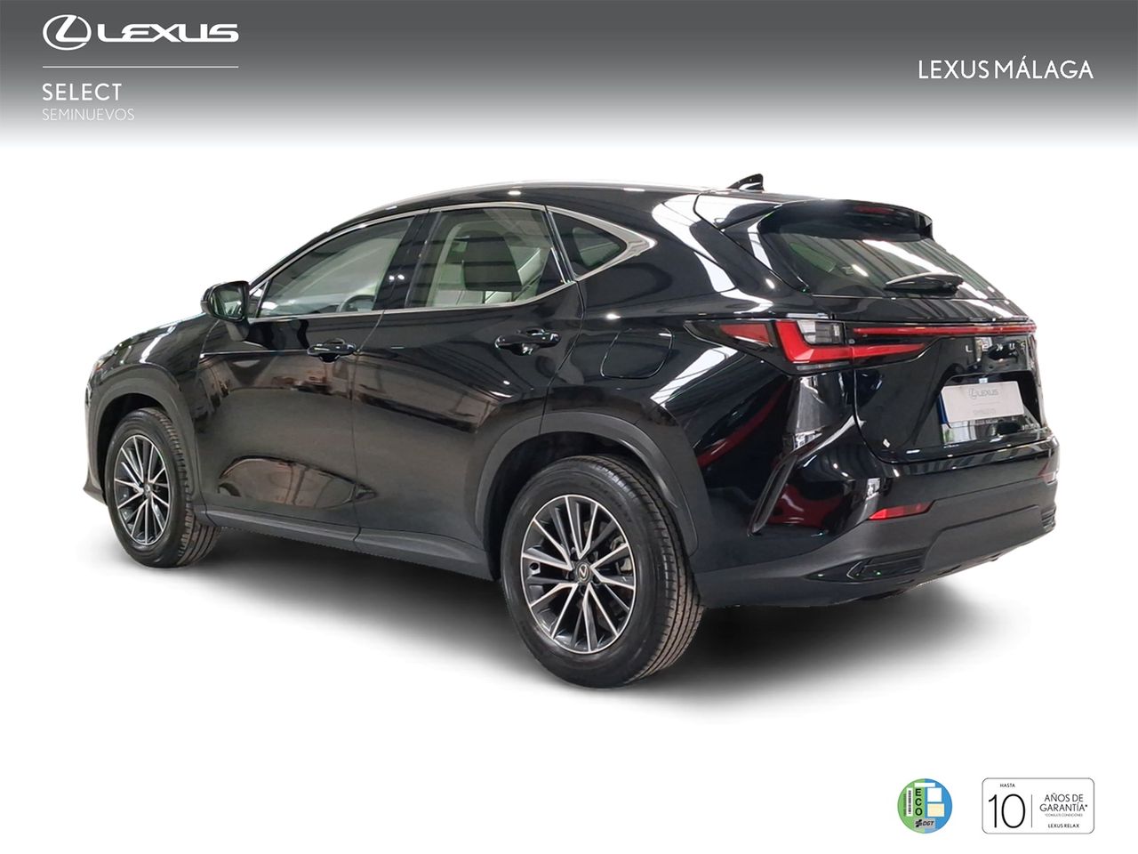 Lexus NX 350h Business City 2WD  - Foto 3
