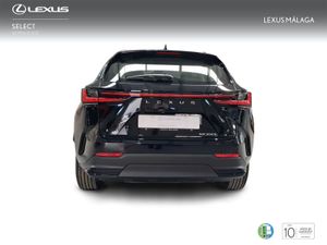 Lexus NX 350h Business City 2WD  - Foto 5