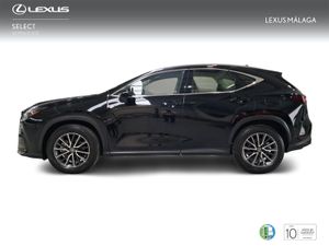 Lexus NX 350h Business City 2WD  - Foto 4