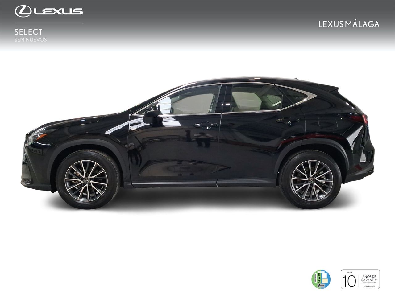 Lexus NX 350h Business City 2WD  - Foto 4