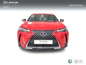 Lexus UX 2.0 300h UX Plus  - Foto 6