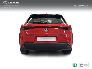 Lexus UX 2.0 300h UX Plus  - Foto 5