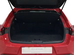 Lexus UX 2.0 300h UX Plus  - Foto 10