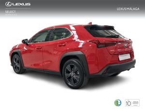 Lexus UX 2.0 300h UX Plus  - Foto 3