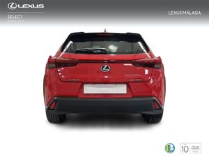 Lexus UX 2.0 300h UX Plus  - Foto 5