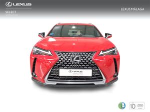 Lexus UX 2.0 300h UX Plus  - Foto 6