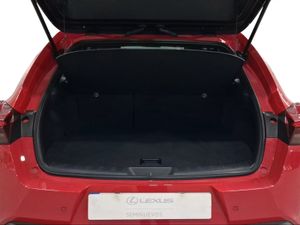 Lexus UX 2.0 300h UX Plus  - Foto 10