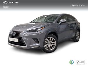 Lexus NX 2.5 300h Executive Navigation 4WD  - Foto 2