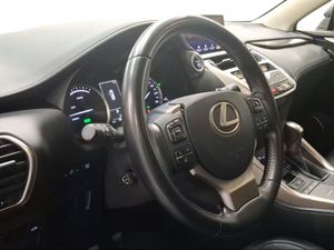 Lexus NX 2.5 300h Executive Navigation 4WD  - Foto 17