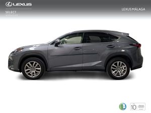 Lexus NX 2.5 300h Executive Navigation 4WD  - Foto 4