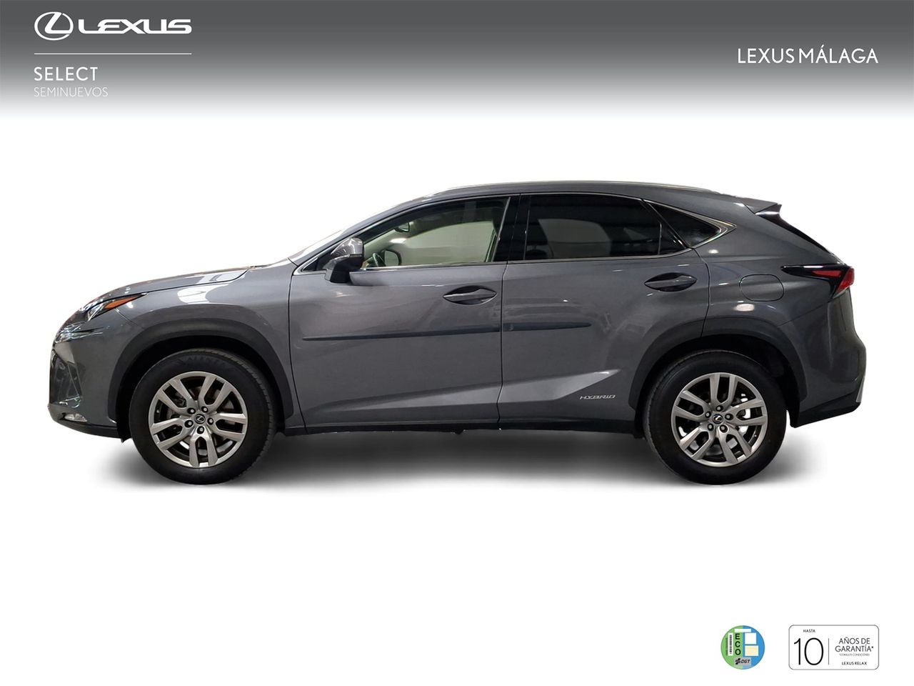 Lexus NX 2.5 300h Executive Navigation 4WD  - Foto 4