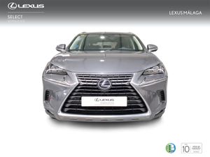 Lexus NX 2.5 300h Executive Navigation 4WD  - Foto 6