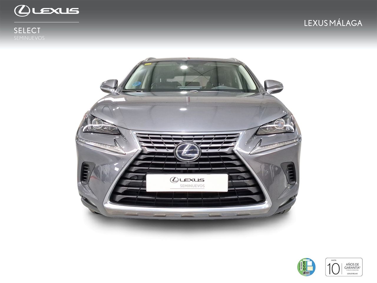 Lexus NX 2.5 300h Executive Navigation 4WD  - Foto 6