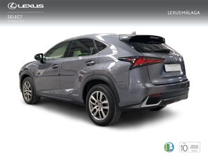 Lexus NX 2.5 300h Executive Navigation 4WD  - Foto 3